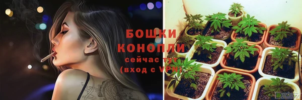 молекула духа Каменск-Шахтинский