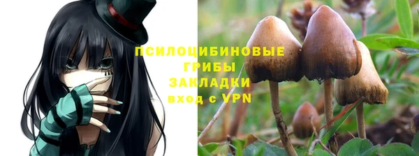 молекула духа Каменск-Шахтинский