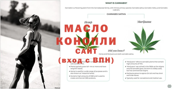 молекула духа Каменногорск