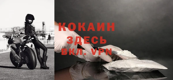 молекула духа Каменногорск