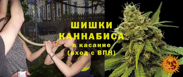 молекула духа Каменногорск