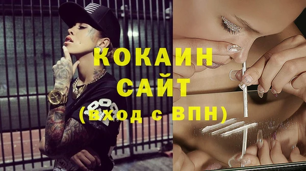 молекула духа Каменногорск